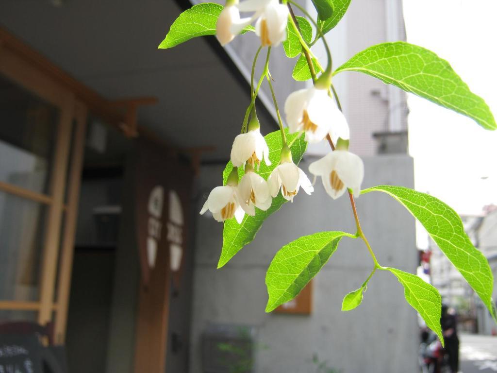 Guesthouse Hyakumanben Cross Kyoto Buitenkant foto